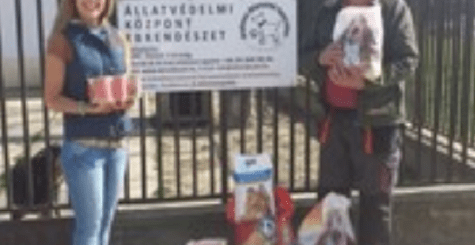 Utcáról megmentett kutyusokat támogattunk