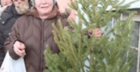Fenyőfát kapott száz rászoruló egyén és család